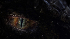 <p>Detail dračího oka. Rozhodně povednější, než oko draka z Jiří a drak.</p>