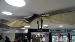 <p>Výstava draků v Letmu</p>