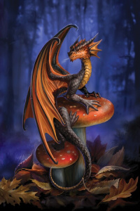 Europosters Plakát, Obraz - Anne Stokes - Mushroom Dragon, 61 × 91.5 cm