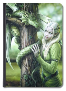 Kniha stínů - Lesní elfka a drak