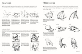 Kreslení - Draci a jiné fantasy postavy - kolektiv autorů