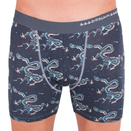 Pánské boxerky 69SLAM fit bamboo dragon L
